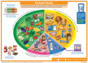 Supplements: The Essential Guide to a Balanced Diet